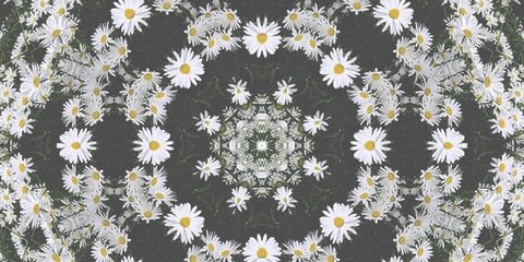 JessicaNelsonEI's profile banner image