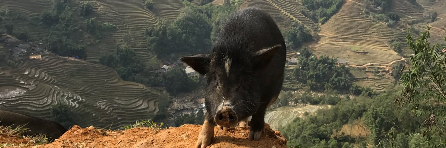 Mirtha ceballos 🇦🇷✝️ banner