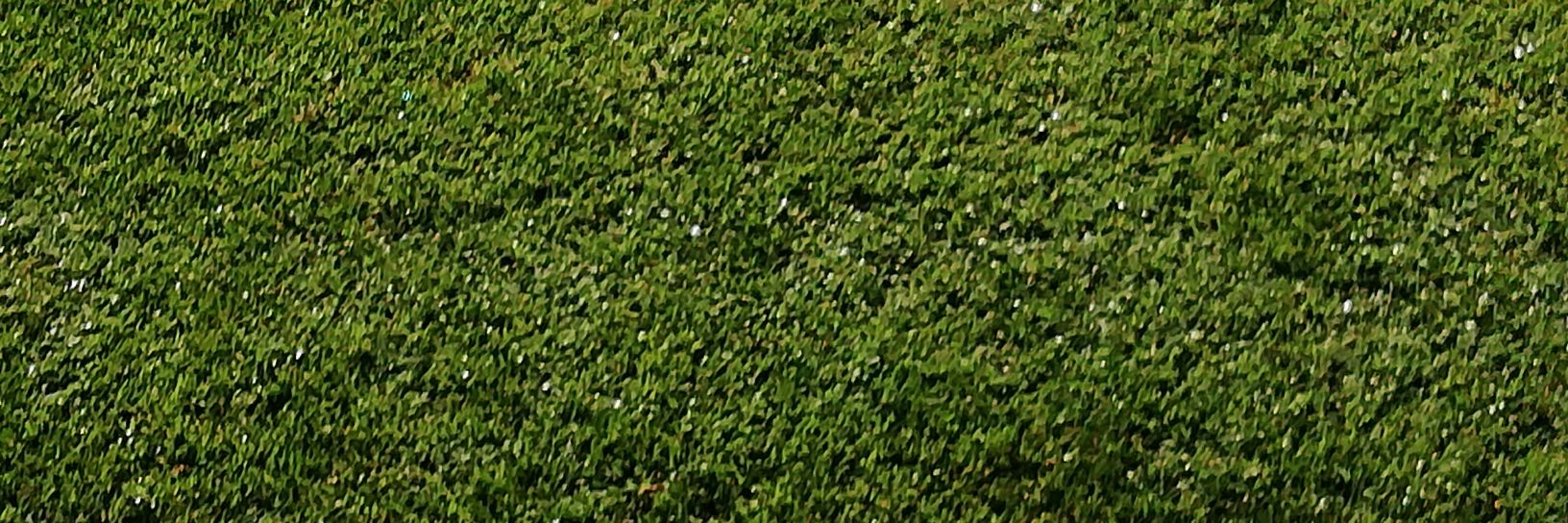 StinkyOzOne's profile banner image