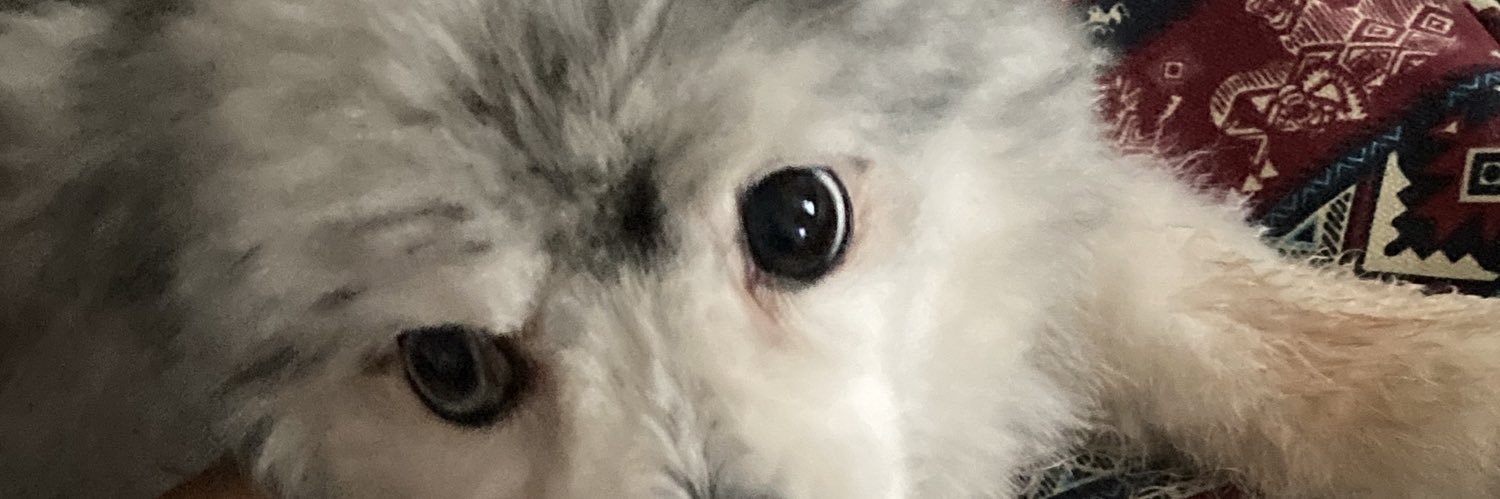 𝓣𝓐𝓑 🌻 banner