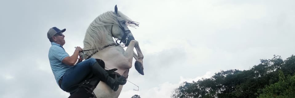 crmanrambo77's profile banner image