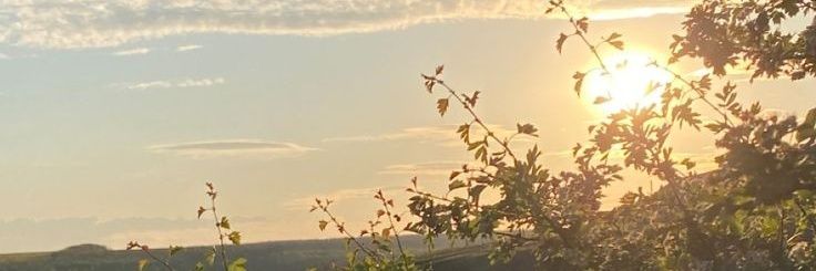 navierxa's profile banner image