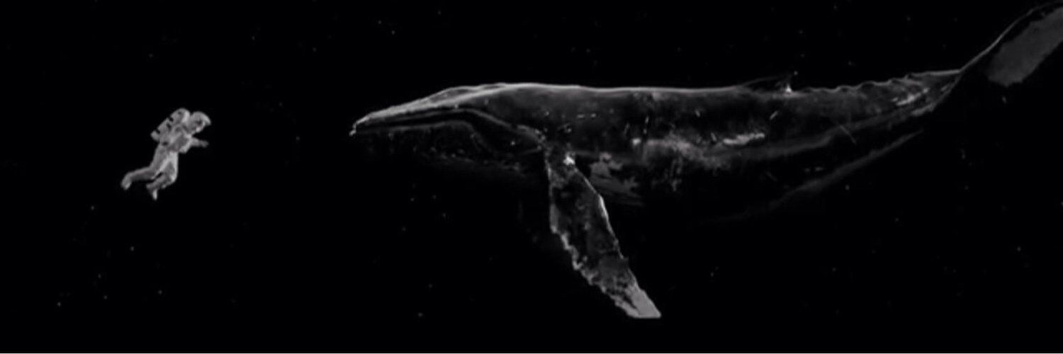 pcyfengz_'s profile banner image