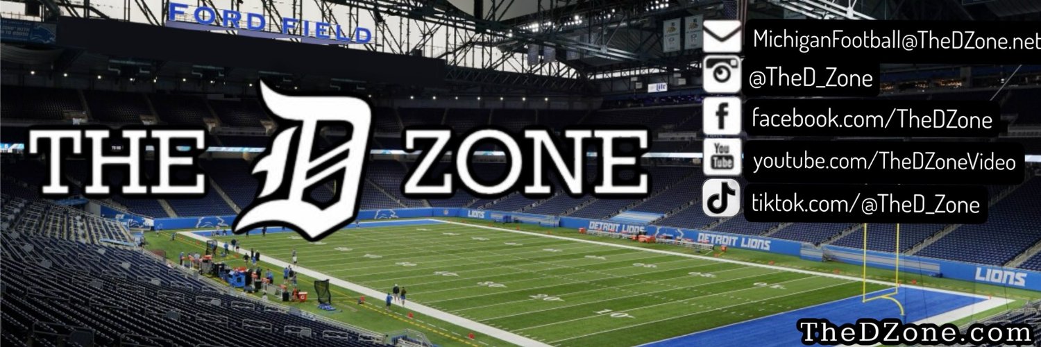 The D Zone banner