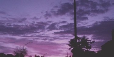 swagmoneylauren banner