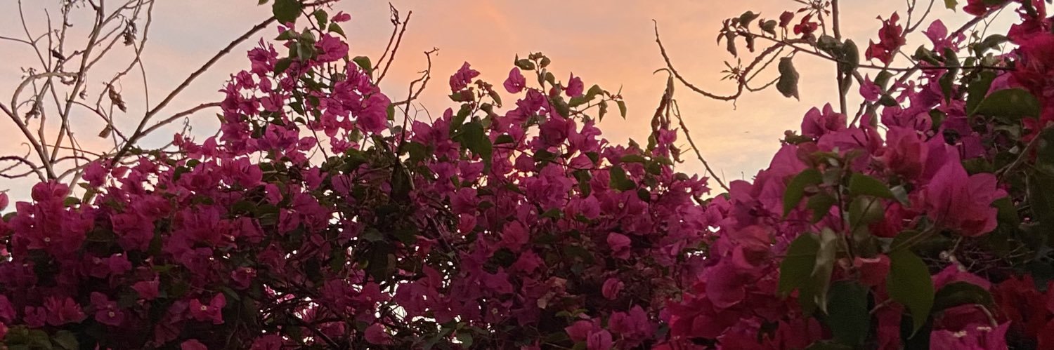 ek_autumn's profile banner image