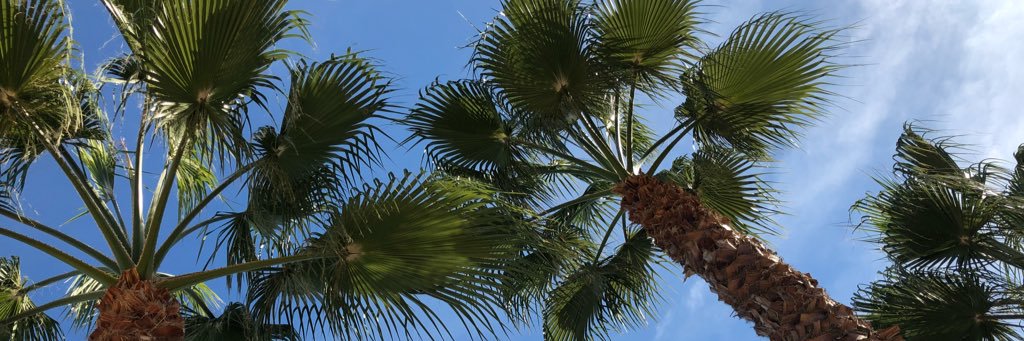 leahsmithh's profile banner image