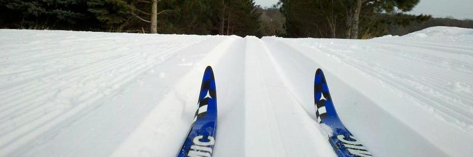 nevalainen's profile banner image