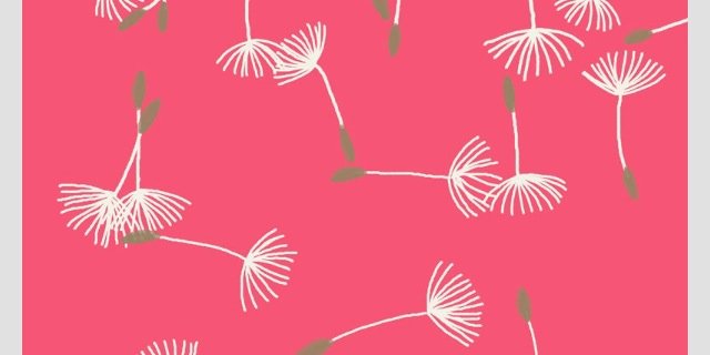collada12's profile banner image