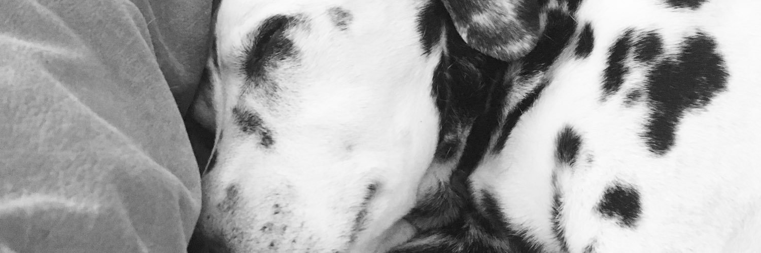 Henpen101's profile banner image
