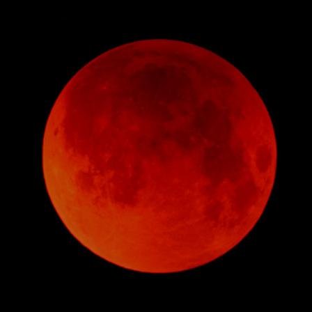 剛腕なストラ＠ルエリ banner