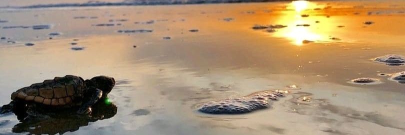 A Black Geologist🌍 banner