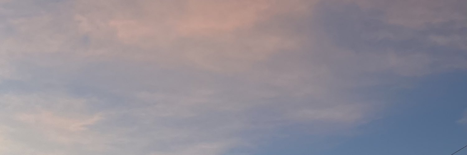 zoe_a8's profile banner image