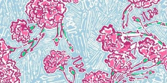 PiPhiRegion4's profile banner image