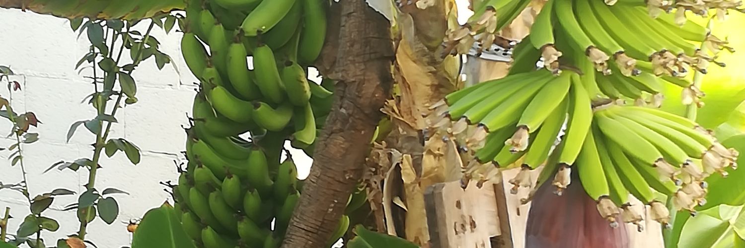 toti60v's profile banner image