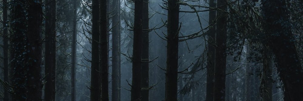 Qtheslayer_'s profile banner image