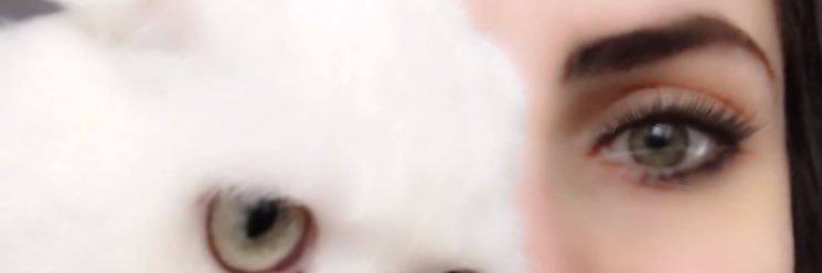 miiimarist's profile banner image