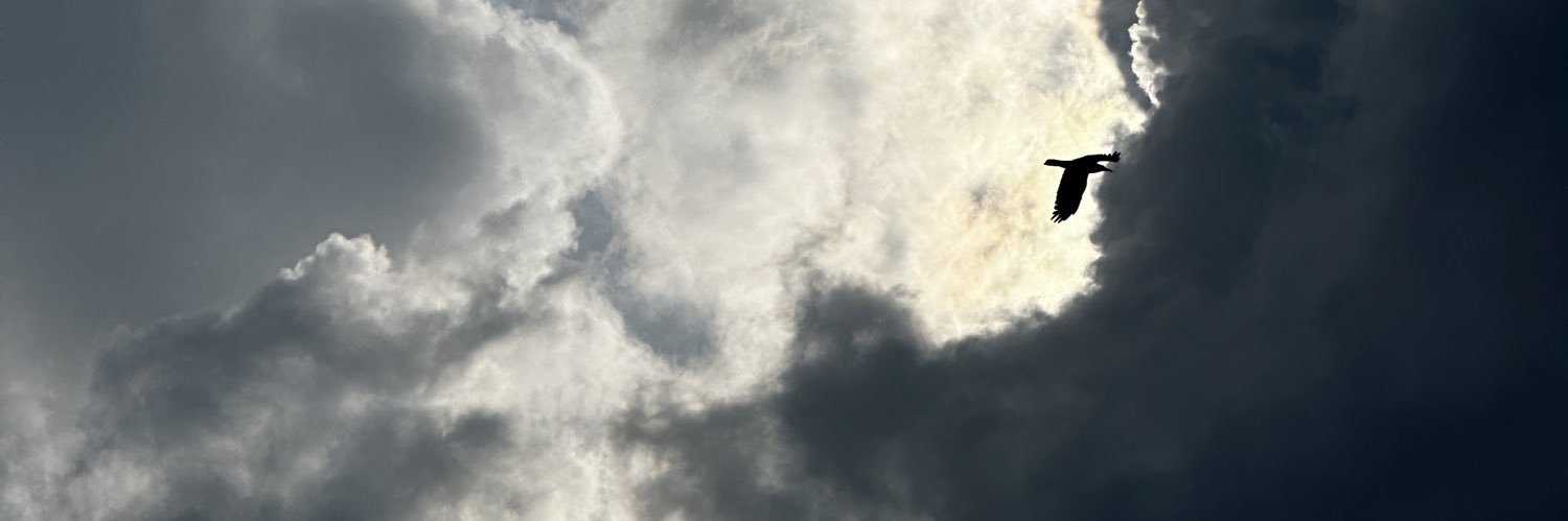 thecoldlad's profile banner image