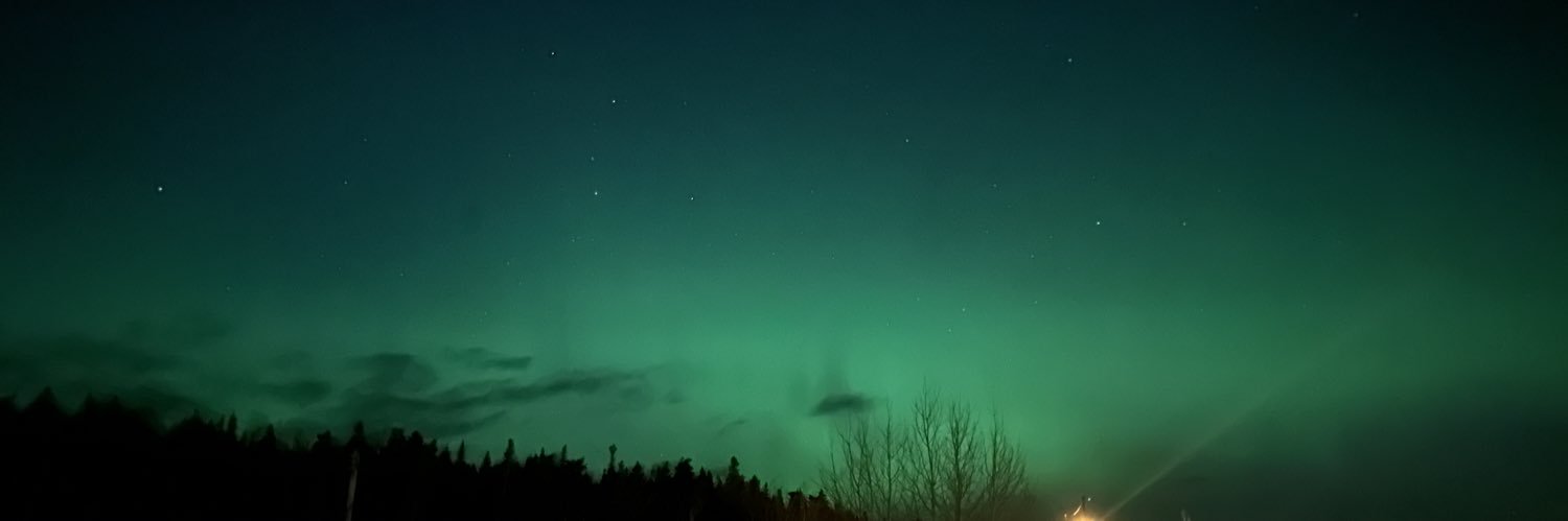 Tizzard99's profile banner image