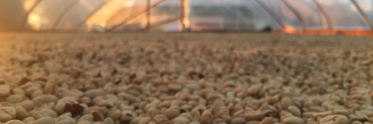 soycareximba's profile banner image