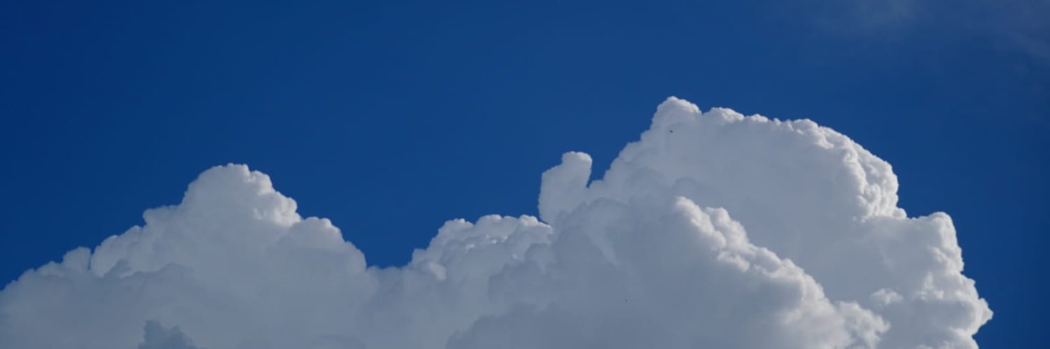 dripyuu's profile banner image