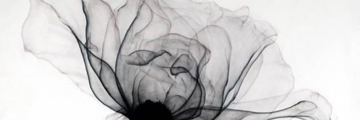 Francrisca's profile banner image
