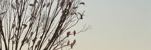 KezNoo Profile Banner