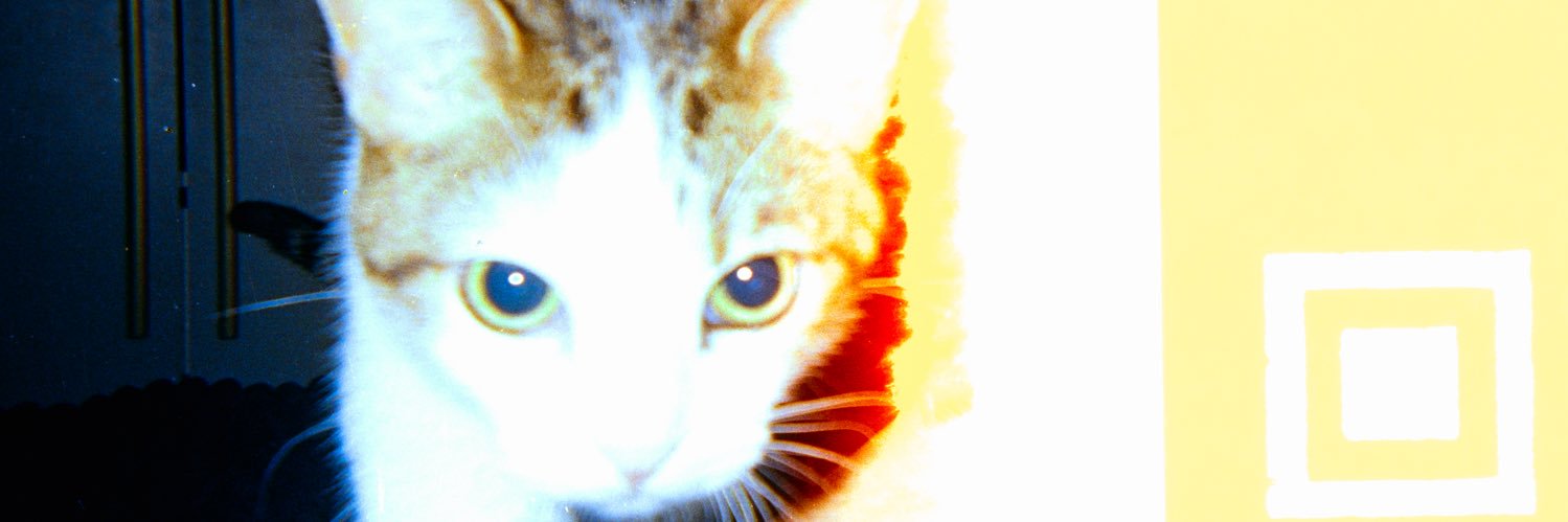rakiew's profile banner image