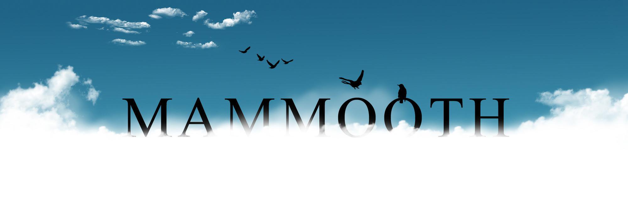 Mooth banner