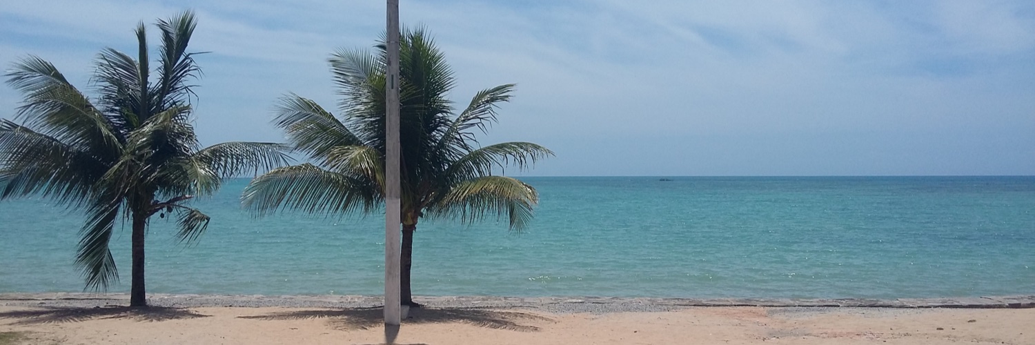 Denisson Silva banner