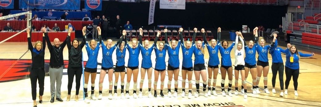 LHS Volleyball banner