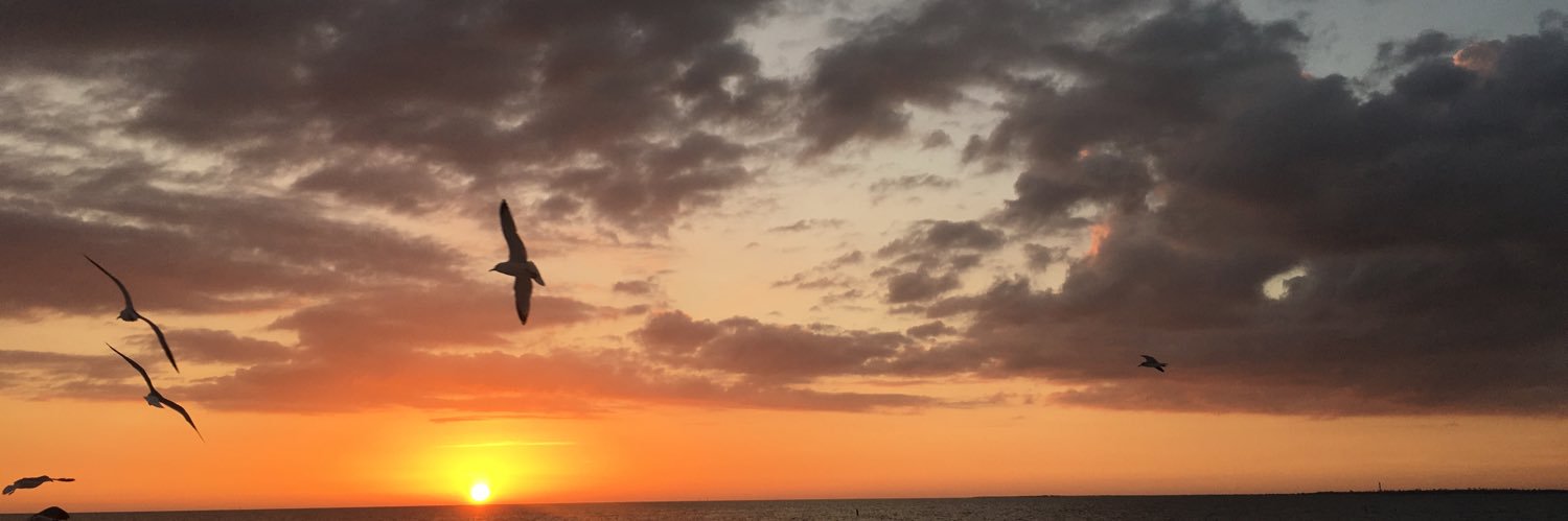 BabyHolbrook's profile banner image