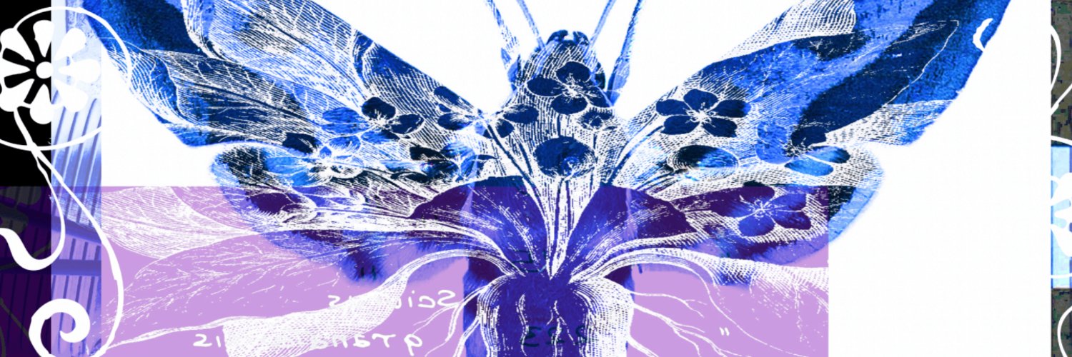 EoPitiusoj's profile banner image
