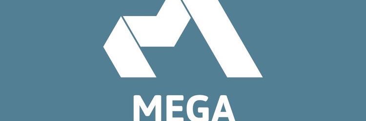 Mega 🍌 banner