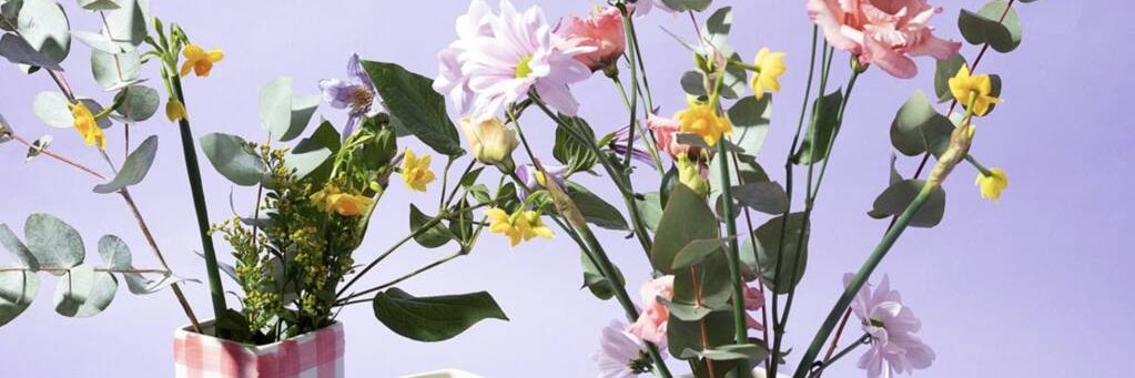 NOTHS Support banner