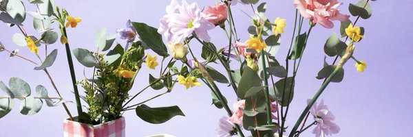 NOTHSsupport Profile Banner