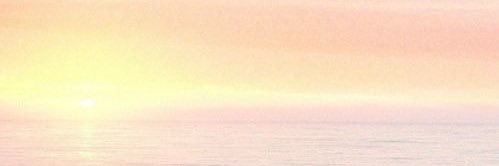 iwashi_30's profile banner image