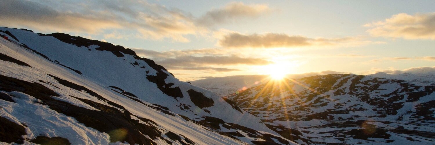 Daniel Rubenson banner