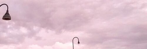 blvckflowrs's profile banner image