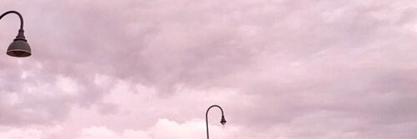 blvckflowrs Profile Banner