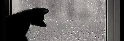 i_tipota's profile banner image