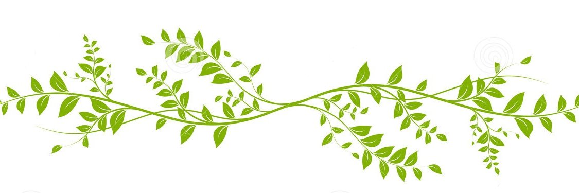 TShirtDesignMax's profile banner image