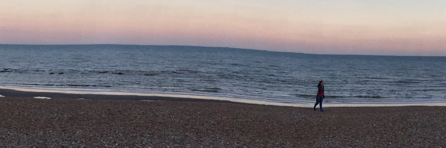 dorkvanlis's profile banner image