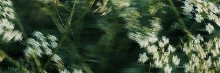BerilKirac's profile banner image