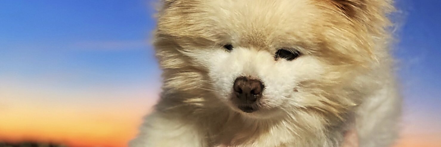 maggierae491's profile banner image