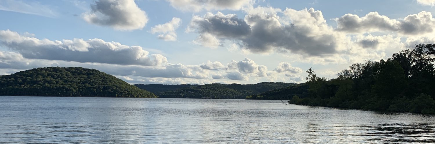 Ashley Riggs banner