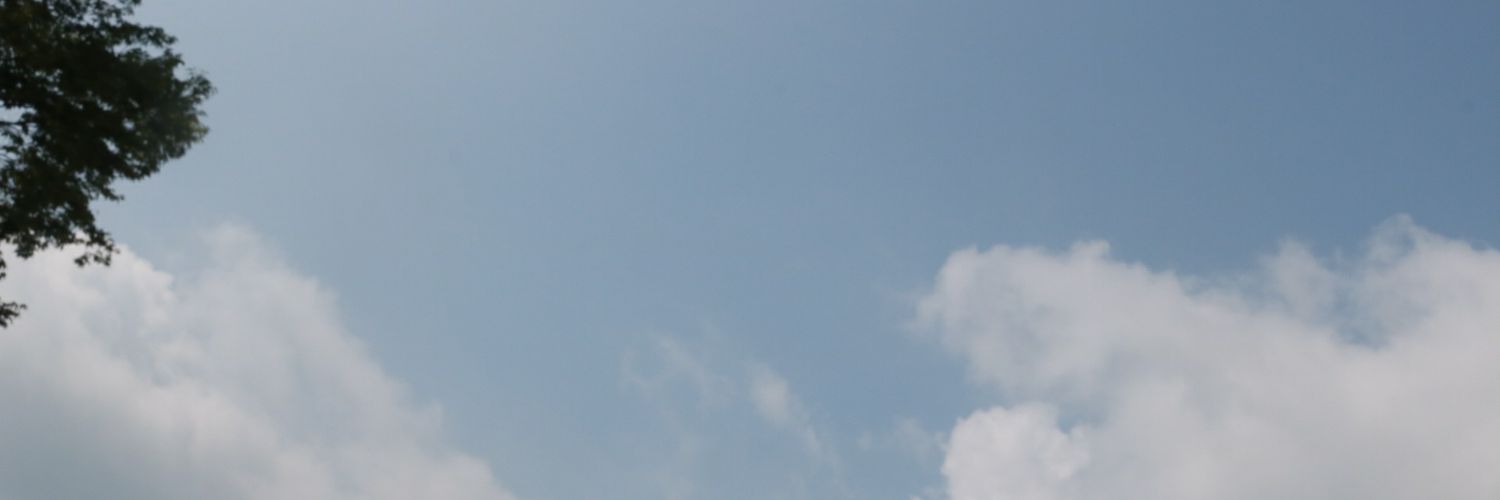 tomatopafe's profile banner image