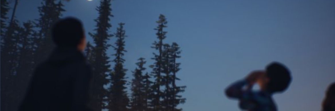 padparadschAZ 🕺 banner