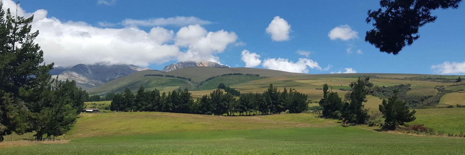 mauivelasquez's profile banner image