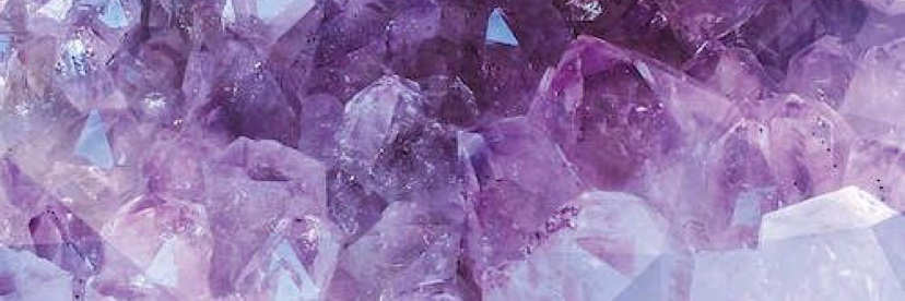 vilazodone's profile banner image